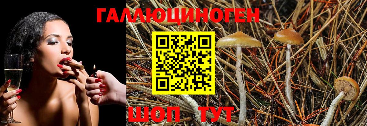 Псилоцибиновые грибы MAGIC MUSHROOMS Абакан