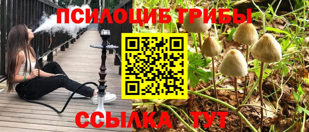 Абакан  Галлюциногенные грибы мицелий  Вход с VPN 